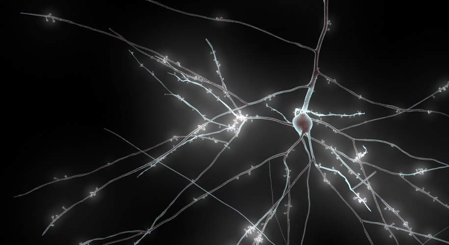 neuron-1280