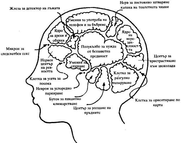 fig15_women brain