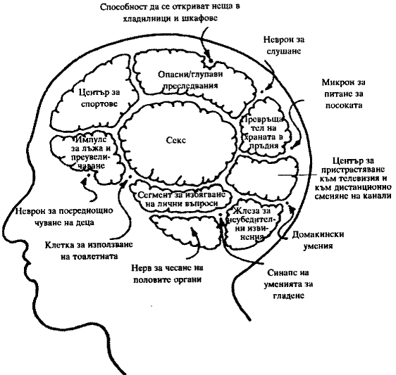 fig1_men brain