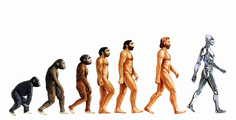 Human-Evolution