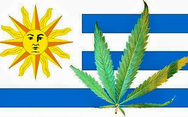 Uruguay-First-Country-to-Legalize-Marijuana_0