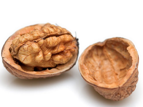 22100414-walnuts2