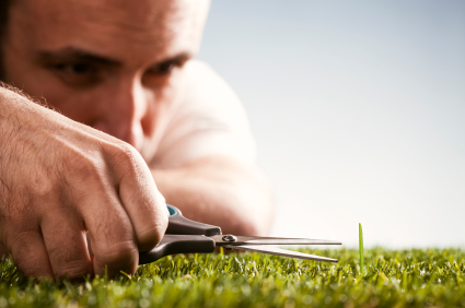 Perfectionist-Cutting-Grass