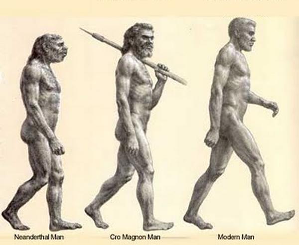Neanderthal-CroMagnon-Modern