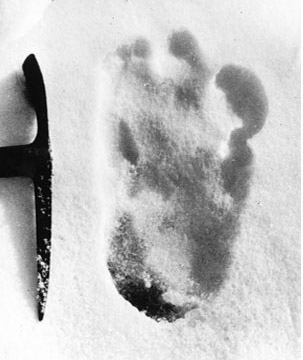 yeti_footprint