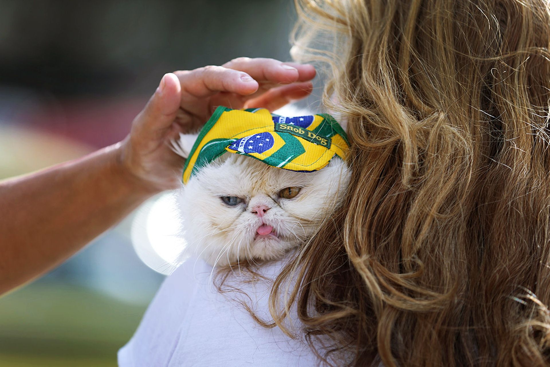 Opening Ceremony FIFA 2014 World Cup Brazil Cat Fan Wallpaper