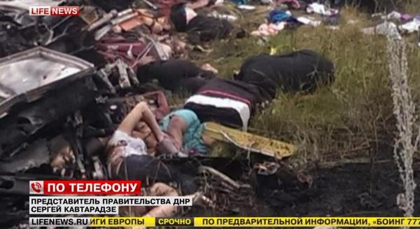 Malaysian-Airlines-MH-17-Crash-Pictures-11