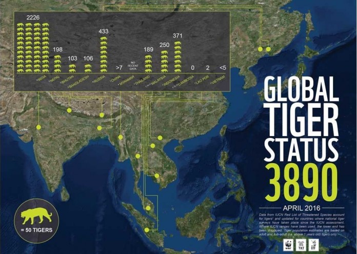 тигри, популация, wwf, азия, карта